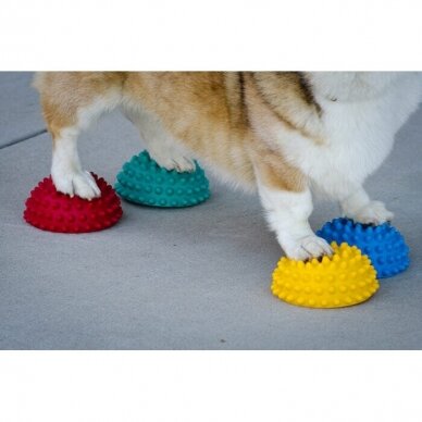 FitPAWS® Paw Pods -Skid Proof for dogs training 5