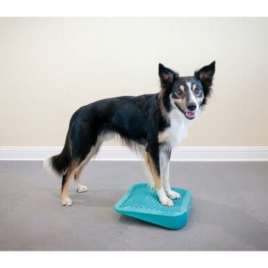 FitPAWS® Dog Balance Ramp  perfect for general dog training and rehabilitation 4