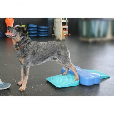 FitPAWS® Dog Balance Ramp  perfect for general dog training and rehabilitation 7
