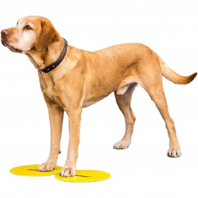 FitPAWS® Targets dresūros taikiniai šunims 1