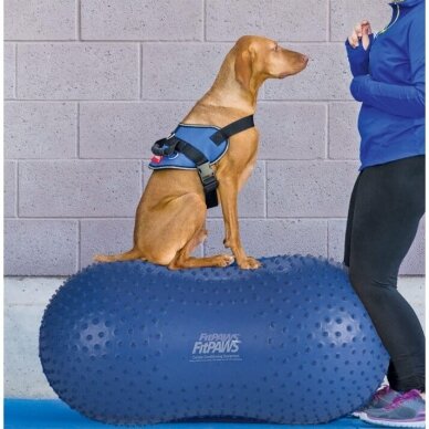 FitPAWS® TRAX™ Peanut balansiniai treniruokliai  šunims 5
