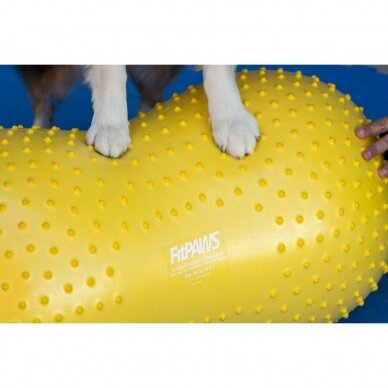 FitPAWS® TRAX™ Peanut balansiniai treniruokliai  šunims 7