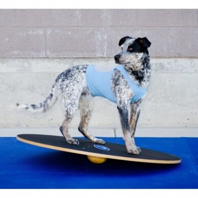 FitPAWS® Wobble Board keturašė judanti lenta šunų balansui gerinti 4