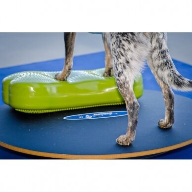 FitPAWS® Wobble Board dynamic balance training and rehabilitation tools for dogs 5