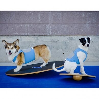 FitPAWS® Wobble Board keturašė judanti lenta šunų balansui gerinti 7
