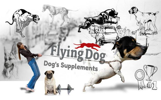 flying-dog-papildai