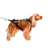 NON-STOP FREEMOTION HARNESS dog harness for activities 2