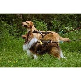 NON-STOP FREEMOTION HARNESS dog harness for activities 8