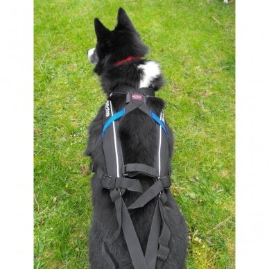 NON-STOP FREEMOTION HARNESS dog harness for activities 9
