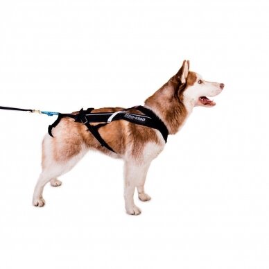 NON-STOP FREEMOTION HARNESS dog harness for activities 3