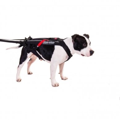 NON-STOP FREEMOTION HARNESS dog harness for activities 4