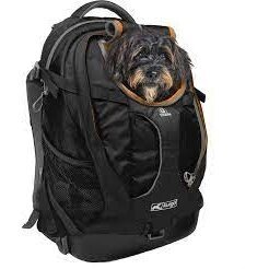 Kurgo G-TRAIN DOG CARRIER BACKPACK  for travel with dog 1