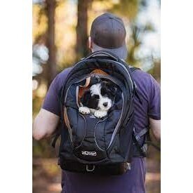 Kurgo G-TRAIN DOG CARRIER BACKPACK  for travel with dog 13