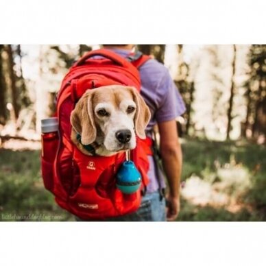 Kurgo G-TRAIN DOG CARRIER BACKPACK  for travel with dog 14