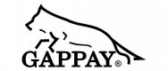 gappay logo 2007-1
