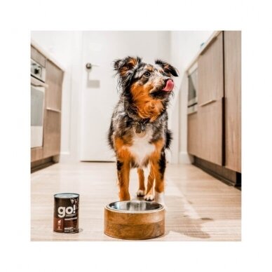 Go! Sensitivities Lamb Pate for Dogs 400g wet food for  puppies and adult dogs 4