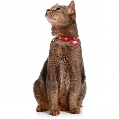 Hunter Cat collar Krokom  with safety click 1