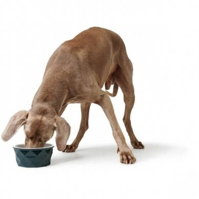 Hunter Ceramic bowl Eiby ceramic bowl for dogs and cats. 3