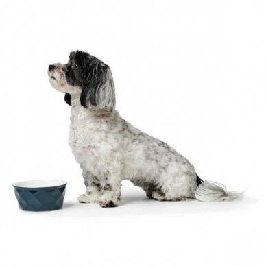 Hunter Ceramic bowl Eiby ceramic bowl for dogs and cats. 4