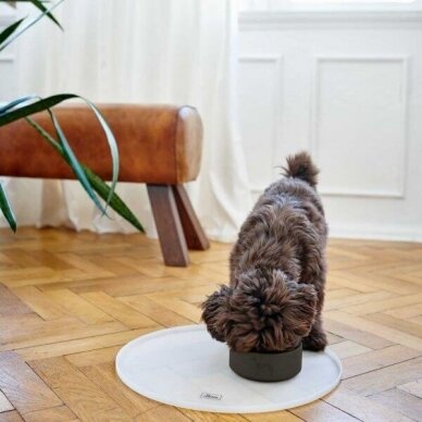 Hunter Ceramic bowl Osby  keraminis dubenėlis  šunims 5