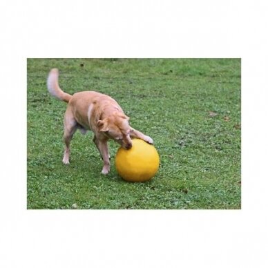 KERBL Dog Playing Ball  dog toy from very robust plastic 2