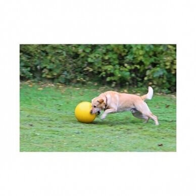 KERBL Dog Playing Ball  dog toy from very robust plastic 1