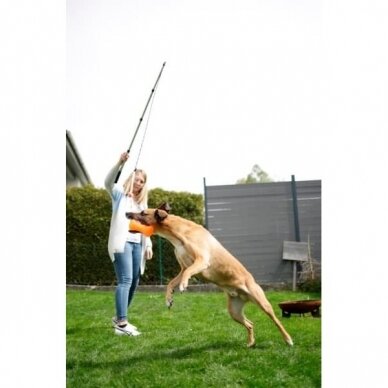 Kerbl Playing Fishing Rod for dog training 4