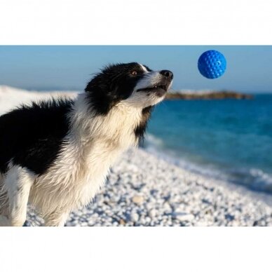 Kiwi Walker Let's Play! Ball  kamuoliukas žaislas šunims ir šuniukams 7