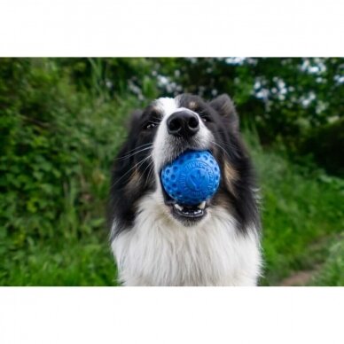 Kiwi Walker Let's Play dog! Ball dog toy for puppies and adult dogs 8