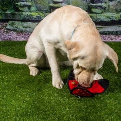 KONG Ballistic Hide'N Treat Dog Toy lavinantis žaislas šunims 11
