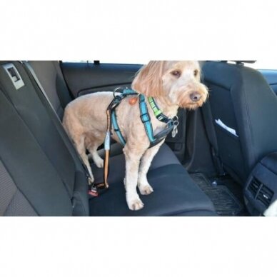 KURGO DIRECT TO SEAT BELT TETHER šuns prisegimas automobilio salone 7