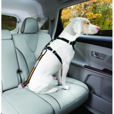 KURGO DIRECT TO SEAT BELT TETHER šuns prisegimas automobilio salone 10