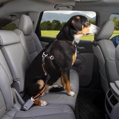 Kurgo Direct to Seatbelt Swivel Tether saugos diržas šunims automobiliuose 2