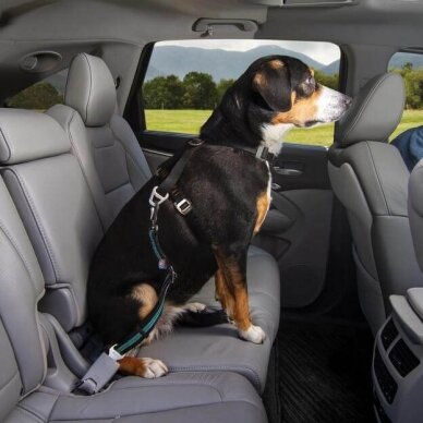 Kurgo Direct to Seatbelt Swivel Tether saugos diržas šunims automobiliuose 5