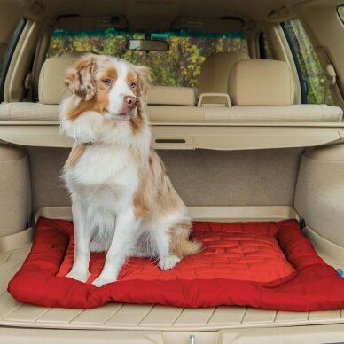 Kurgo Loft Wander Dog Bed for travel with dog 2