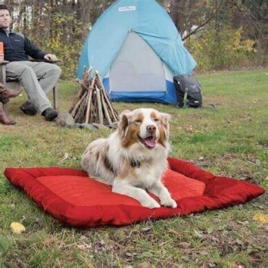 Kurgo Loft Wander Dog Bed for travel with dog 1