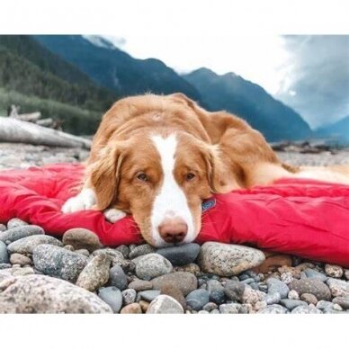 Kurgo Loft Wander Dog Bed for travel with dog 3
