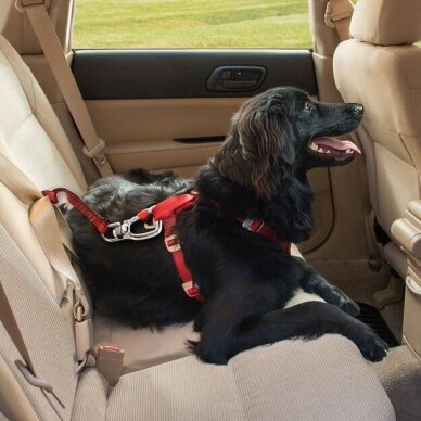 Kurgo Swivel Tether strongest seatbelt tether for dogs in car 1