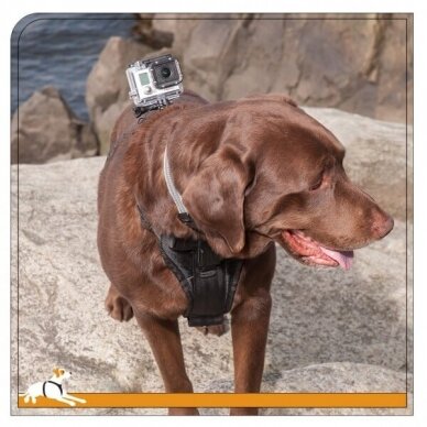 KURGO TRU-FIT SMART HARNESS WITH CAMERA MOUNT petnešos šunims su veiksmo kameros tvirtinimo taškais 1