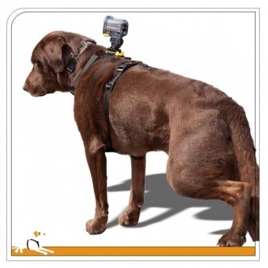 KURGO TRU-FIT SMART HARNESS WITH CAMERA MOUNT petnešos šunims su veiksmo kameros tvirtinimo taškais 3