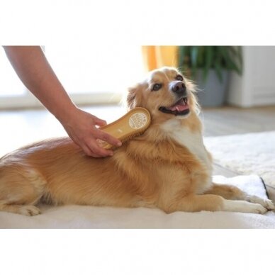 MagicBrush Dog Soft soft brush for your dog 1