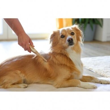 MagicBrush Fur Comb for dogs and cats 2