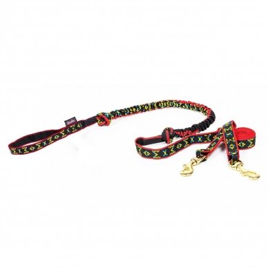 ManMat LONG BUNGEE line for 2 dogs 1