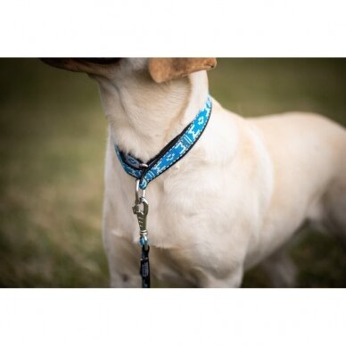 ManMat STANDARD MARTINGALE collar dog collar with semi-tightening system 6