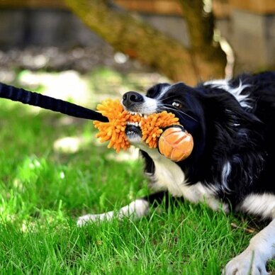 MOP TUG WITH BALL- BUNGEE dog toy 7