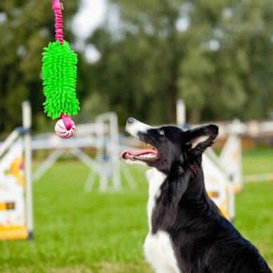 MOP TUG WITH BALL- BUNGEE dog toy 9