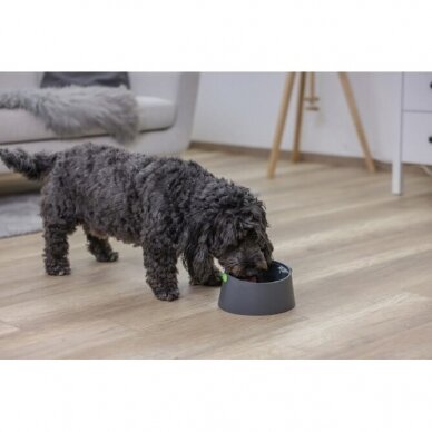 Multi-feeder base for dogs with multifunctional application 10