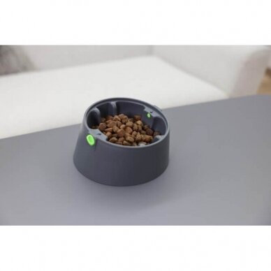 Multi-feeder base for dogs with multifunctional application 16