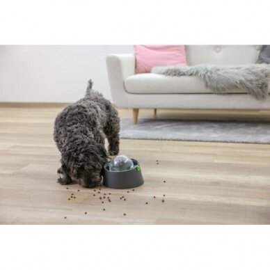 Multi-feeder base for dogs with multifunctional application 19