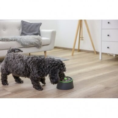 Multi-feeder base for dogs with multifunctional application 20